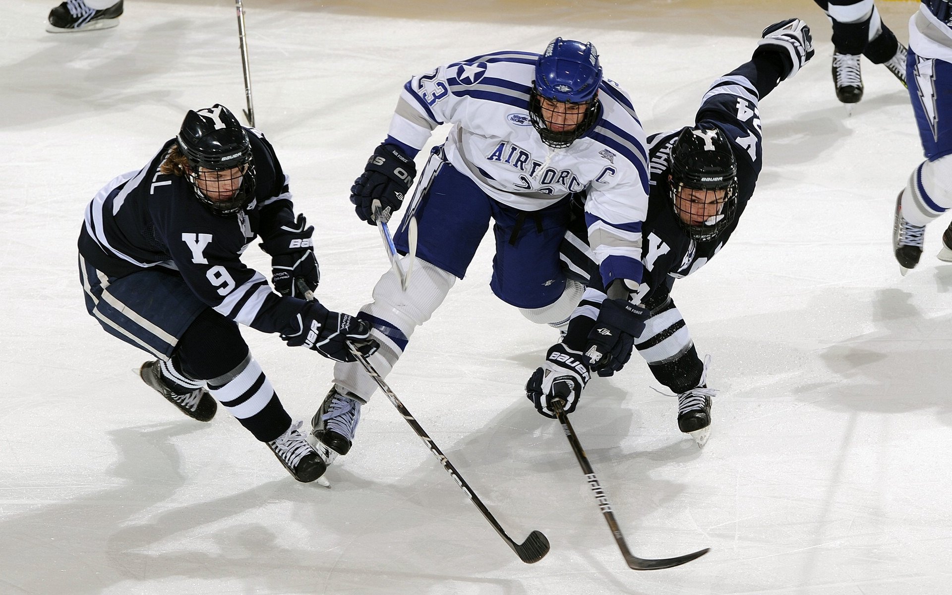 体育教学中增强现实与虚拟现实融合应用，结合教学实践谈谈示范在体育教学中的运用