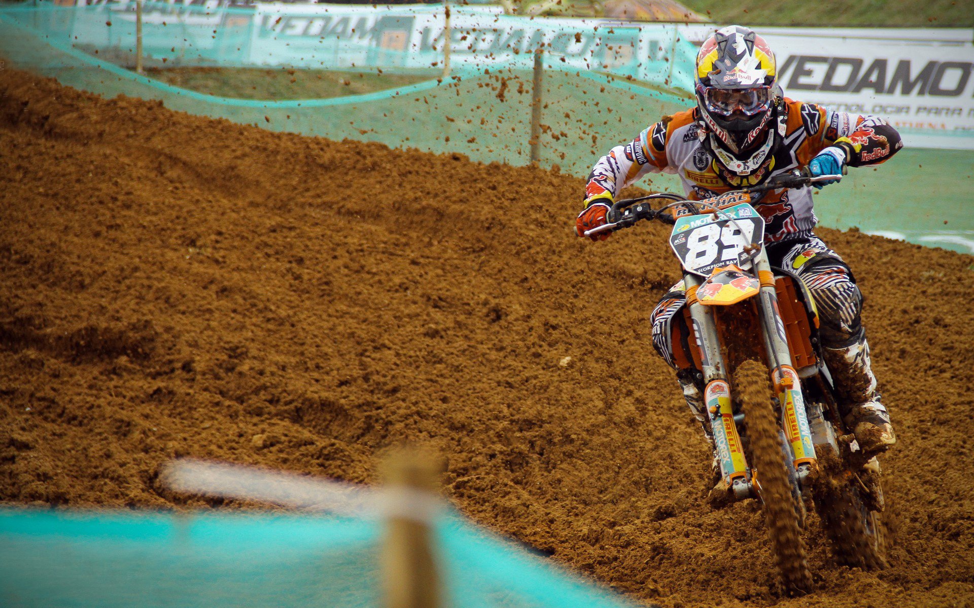 “游泳赛场聚焦！2025世界游泳锦标赛开战”