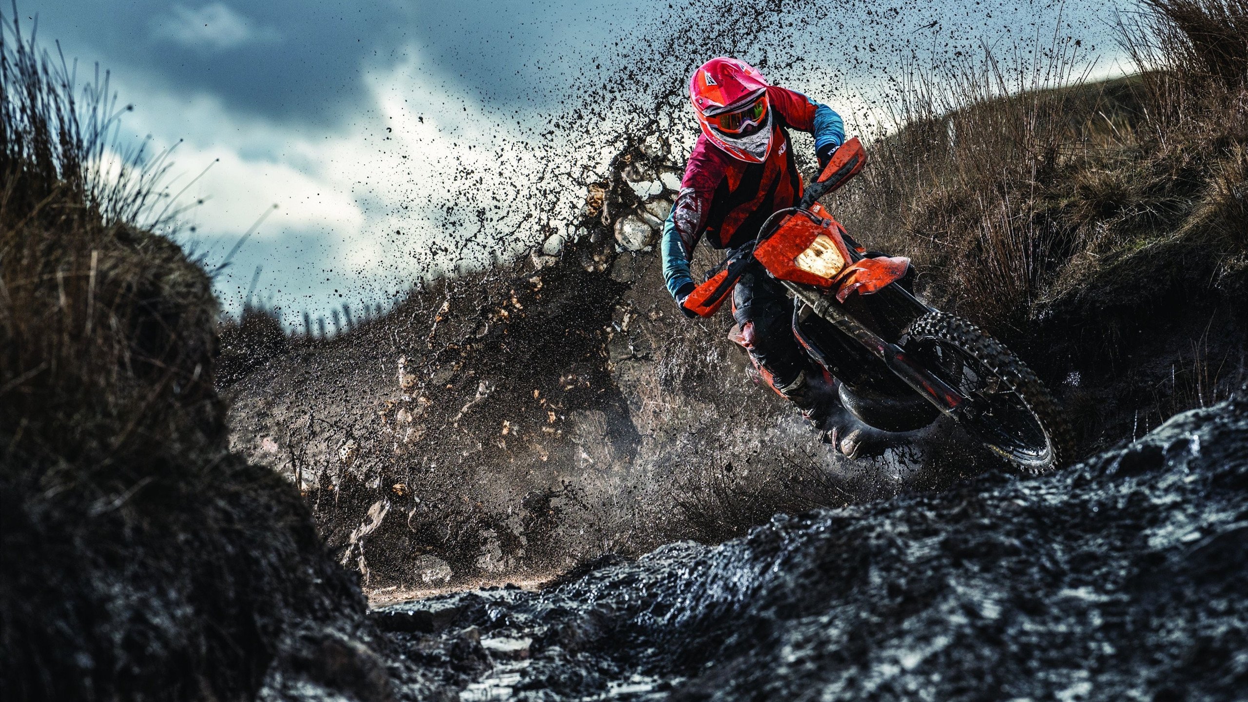 “游泳赛场聚焦!2025世界游泳锦标赛开战”