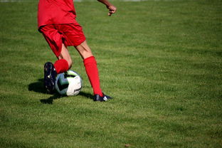 意甲裁判语义分析系统在比赛判罚中的应用研究，意甲第三轮裁判