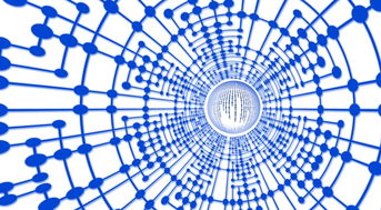 法甲球员恢复期心率波动数据指导训练负荷调整，法甲球员收入