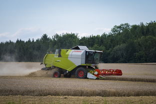 田径跨项目交流营探索协同训练新方式，田径跨栏的动作讲解